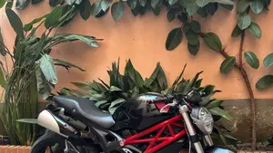 Ducati Monster 796 (2010 - 13)  (2)