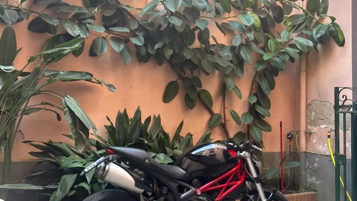 Ducati Monster 796 (2010 - 13)  (5)