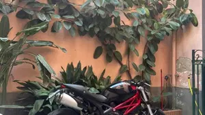Ducati Monster 796 (2010 - 13)  (5)