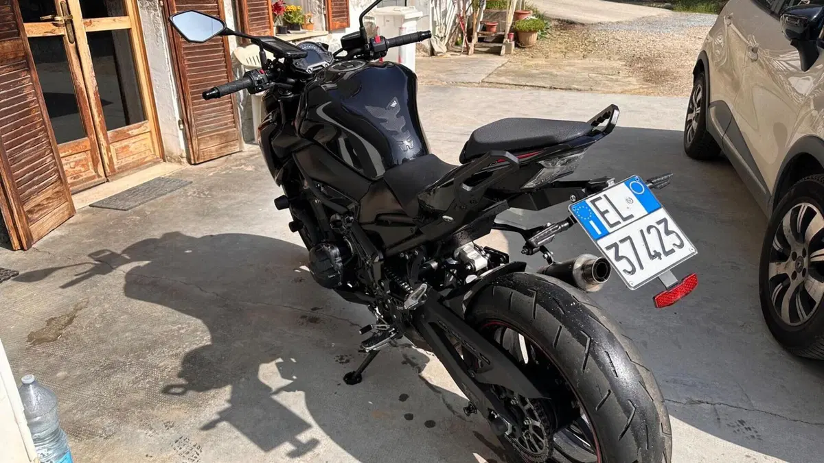 Kawasaki Z 900 (2017 - 18)  (2)