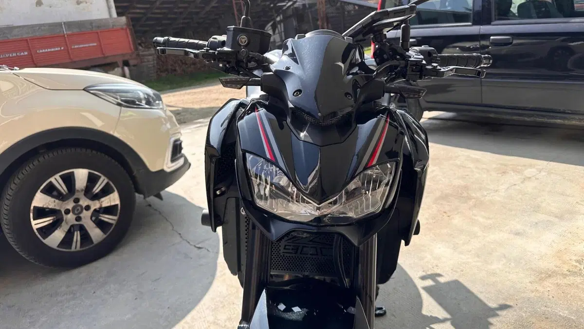 Kawasaki Z 900 (2017 - 18)  (5)