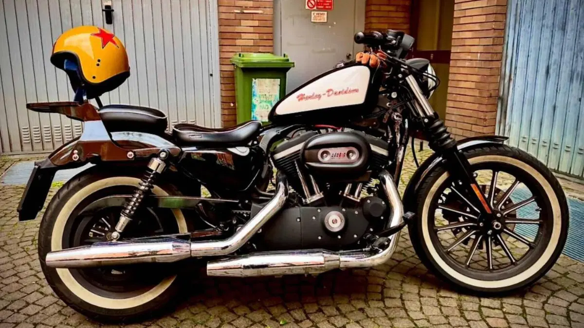 Harley-Davidson 883 Iron (2009 - 11) - XL 883N 