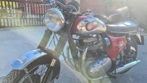 Bsa   (2)