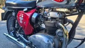 Bsa   (4)