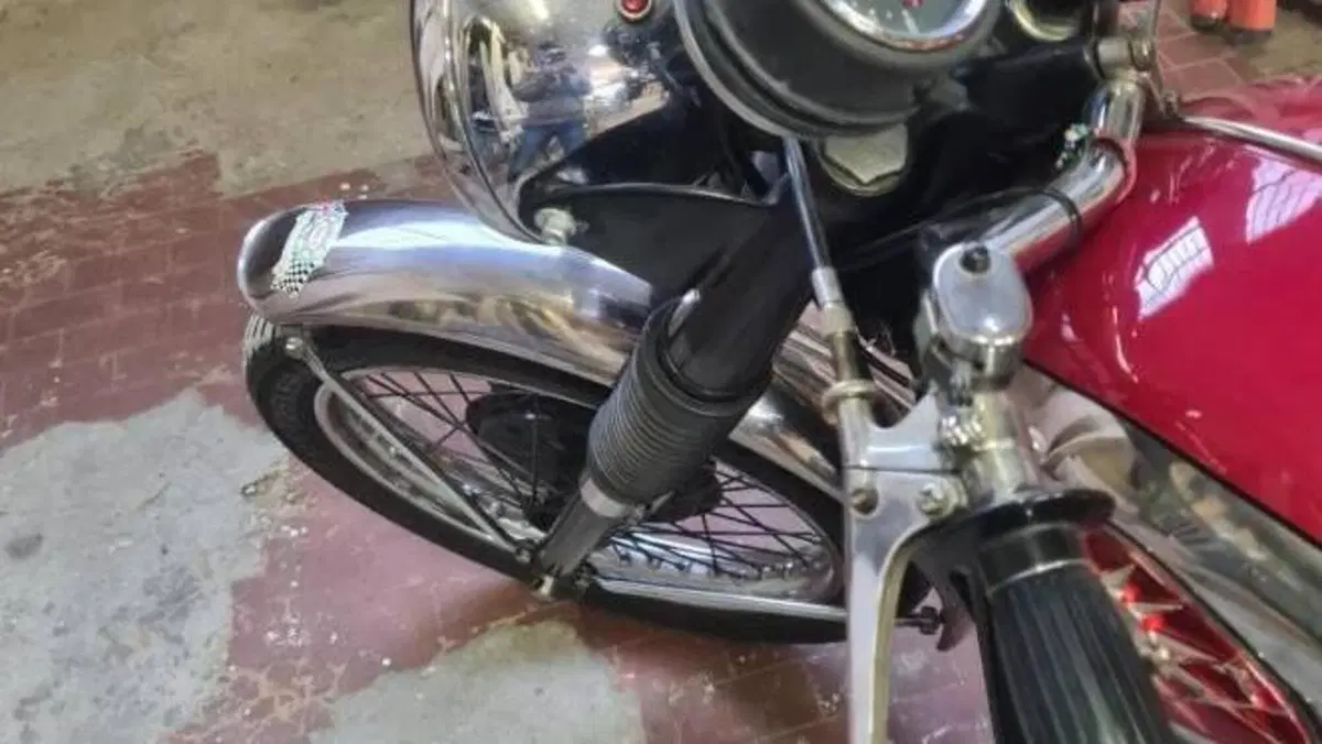 Bsa   (6)