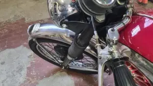 Bsa   (6)