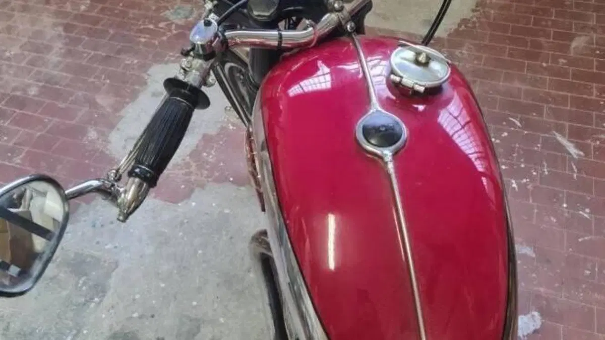 Bsa   (7)