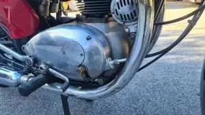 Bsa   (12)