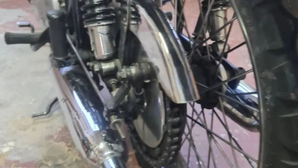 Bsa   (16)