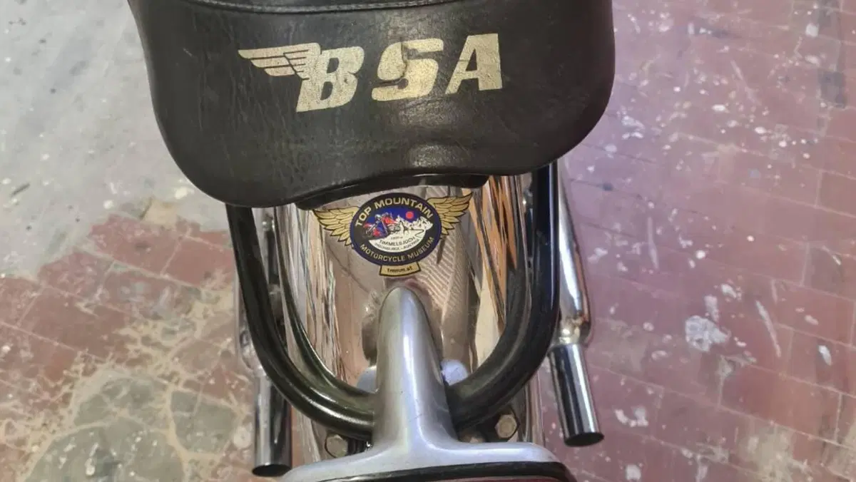 Bsa   (19)