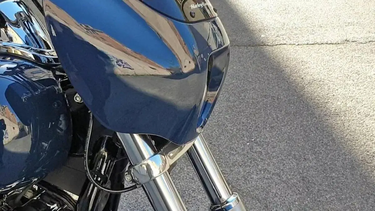 Harley-Davidson 107 Low Rider (2018 - 20) - FXLR  (3)