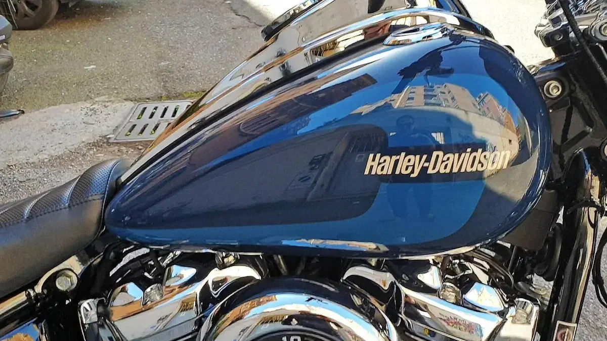 Harley-Davidson 107 Low Rider (2018 - 20) - FXLR  (4)