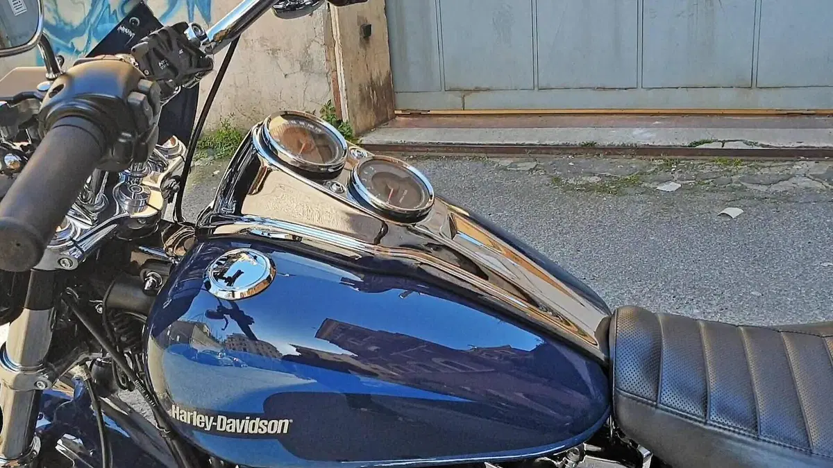 Harley-Davidson 107 Low Rider (2018 - 20) - FXLR  (14)