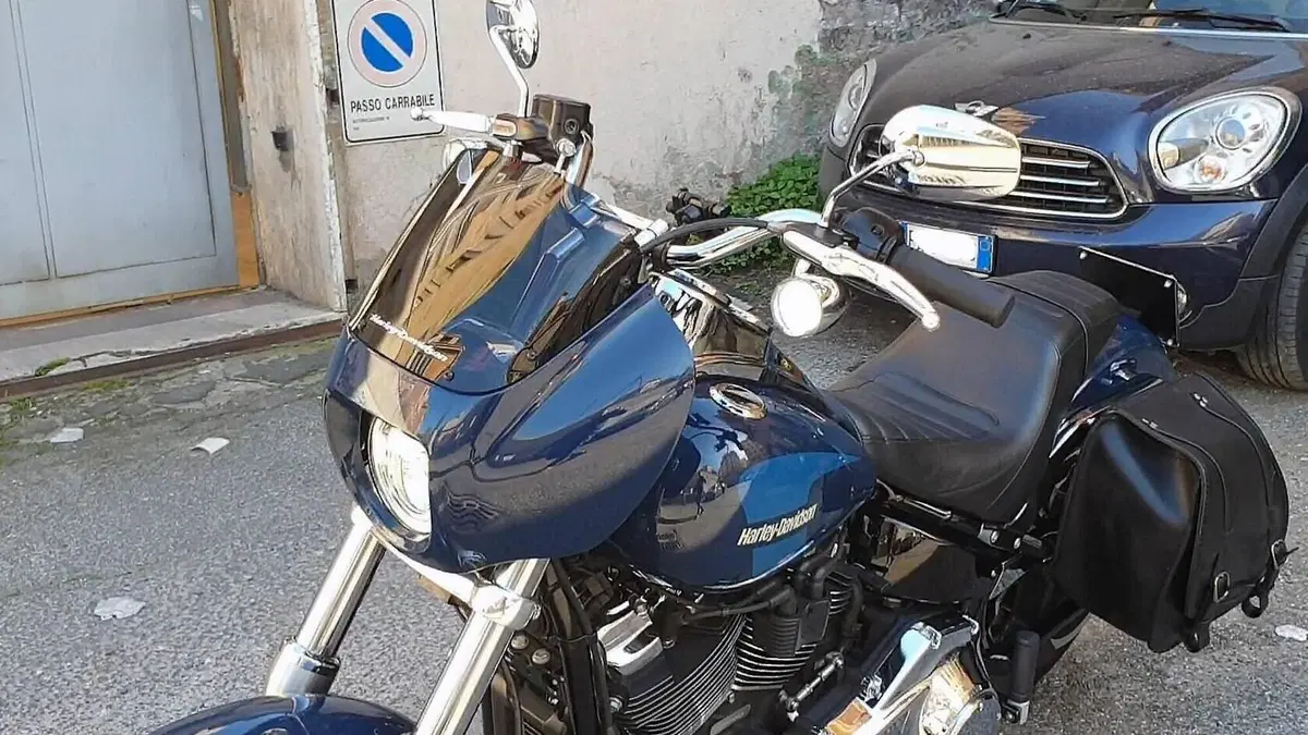Harley-Davidson 107 Low Rider (2018 - 20) - FXLR  (17)