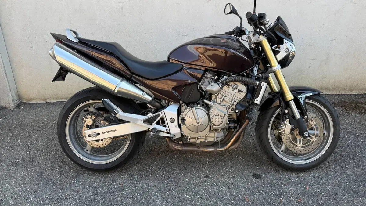 Honda Hornet 600 (2005 - 06)  (2)