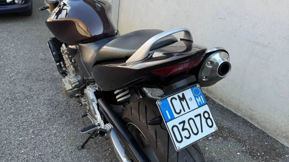 Honda Hornet 600 (2005 - 06)  (4)