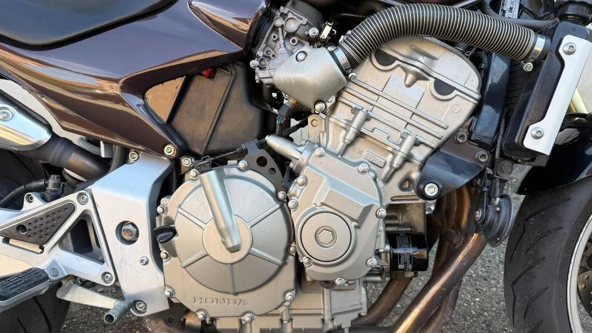 Honda Hornet 600 (2005 - 06)  (6)