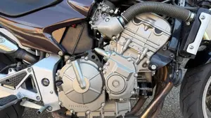 Honda Hornet 600 (2005 - 06)  (6)