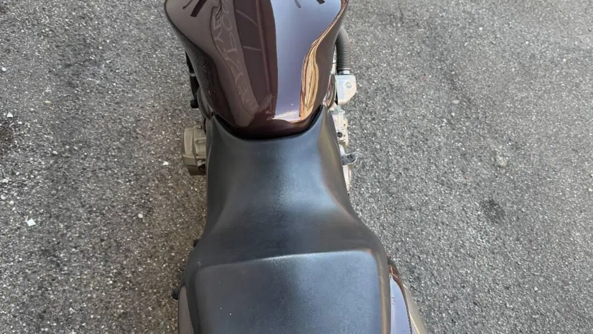 Honda Hornet 600 (2005 - 06)  (10)