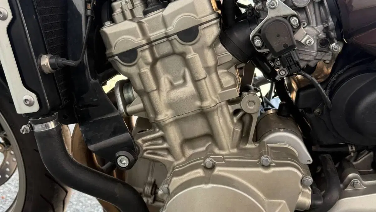 Honda Hornet 600 (2005 - 06)  (12)