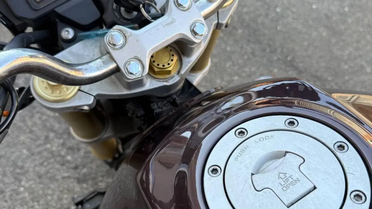 Honda Hornet 600 (2005 - 06)  (13)