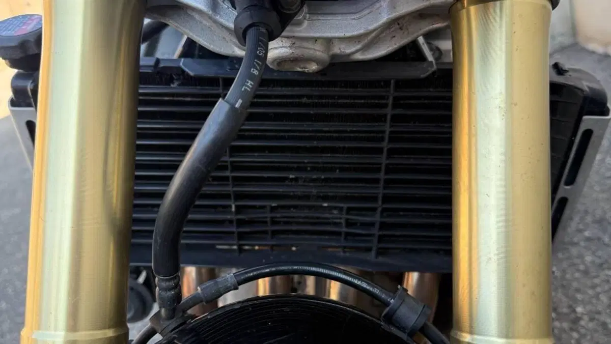 Honda Hornet 600 (2005 - 06)  (14)