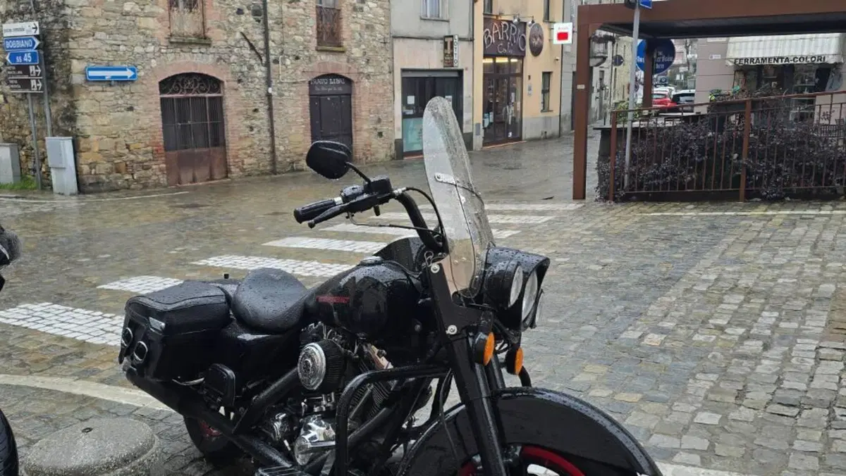 Harley-Davidson 1450 Road King (1999 - 03) - FLHR  (4)