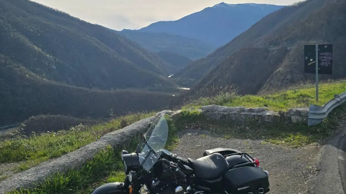 Harley-Davidson 1450 Road King (1999 - 03) - FLHR  (5)