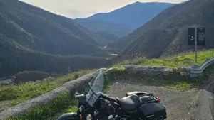Harley-Davidson 1450 Road King (1999 - 03) - FLHR  (5)