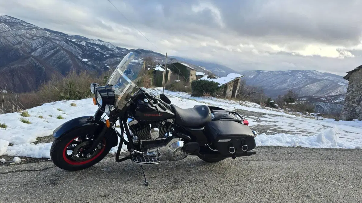 Harley-Davidson 1450 Road King (1999 - 03) - FLHR  (2)