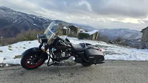 Harley-Davidson 1450 Road King (1999 - 03) - FLHR  (2)