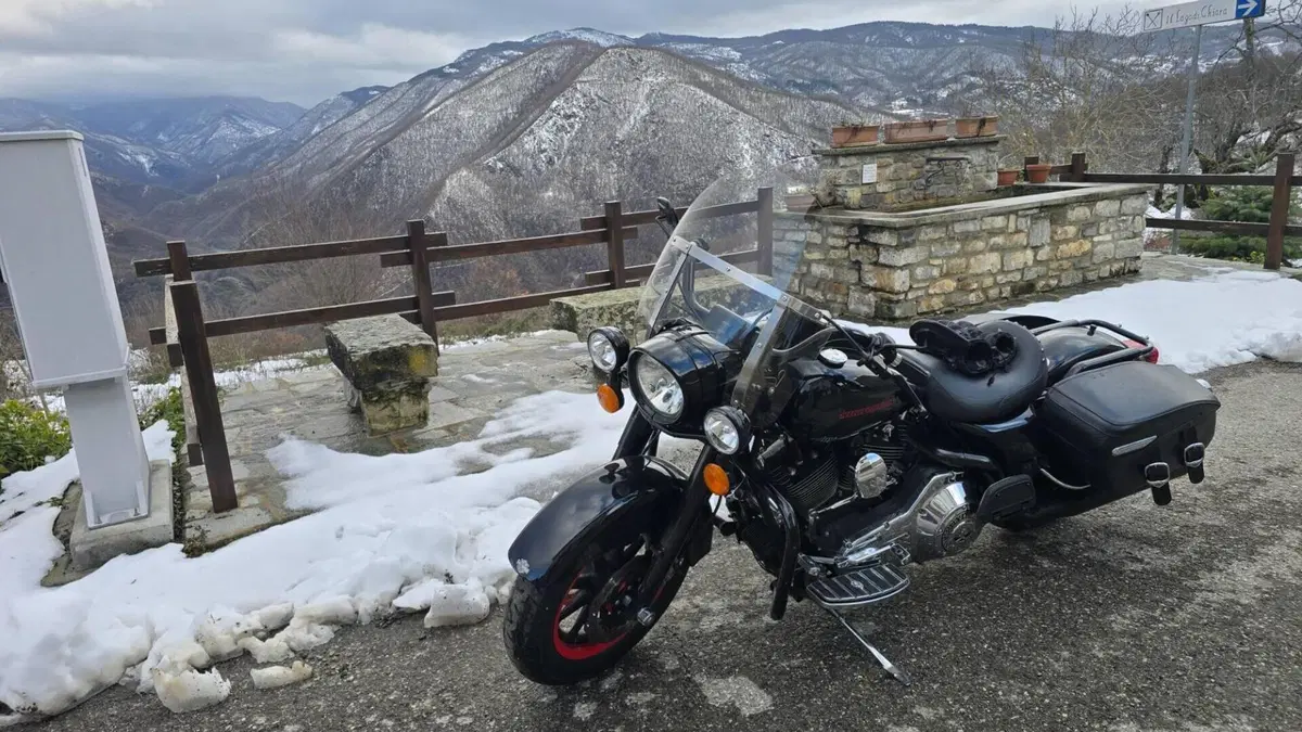 Harley-Davidson 1450 Road King (1999 - 03) - FLHR 