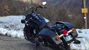 Harley-Davidson 1450 Road King (1999 - 03) - FLHR  (3)
