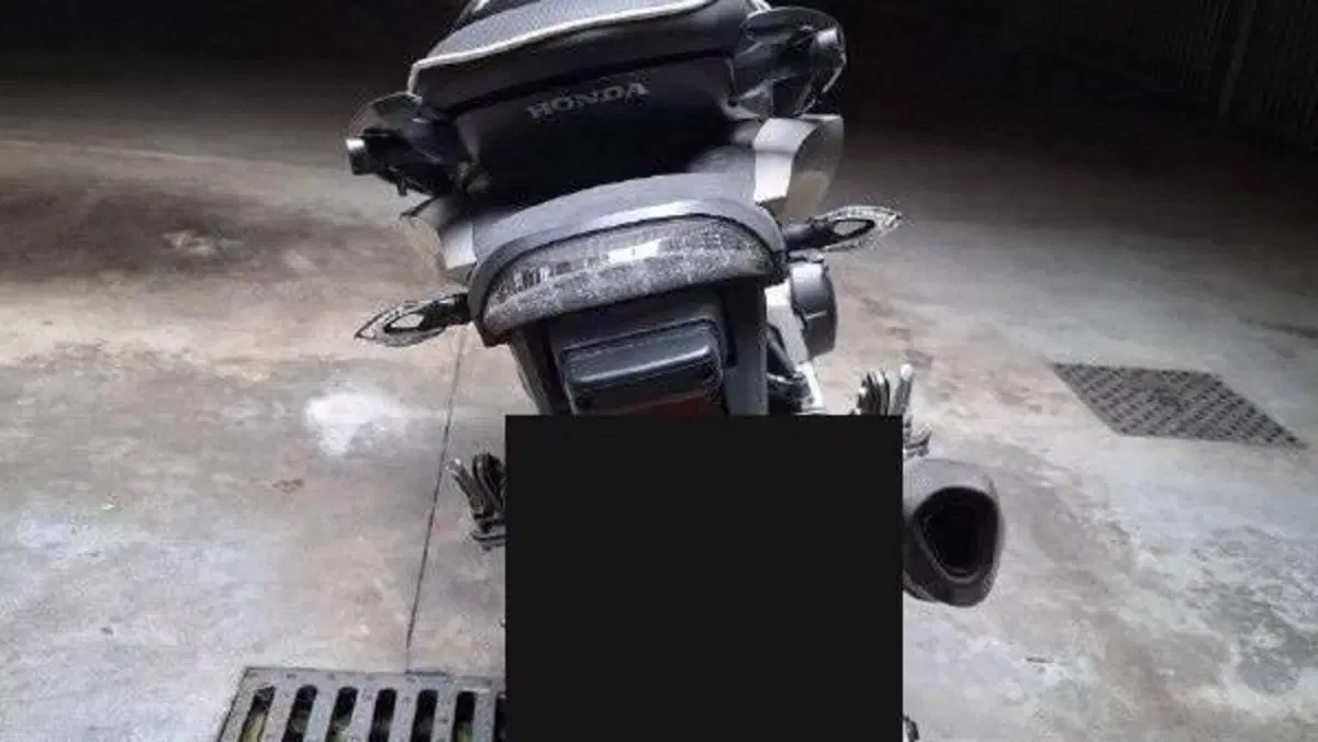 Honda Hornet 600 (2007 - 10)  (4)