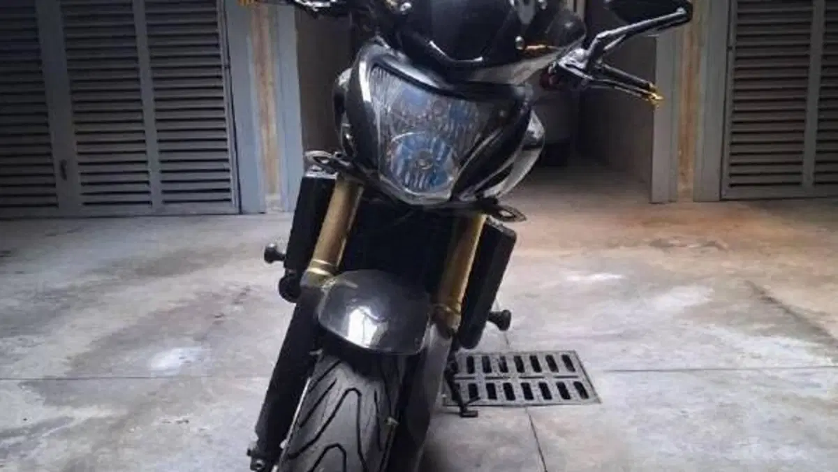 Honda Hornet 600 (2007 - 10)  (3)