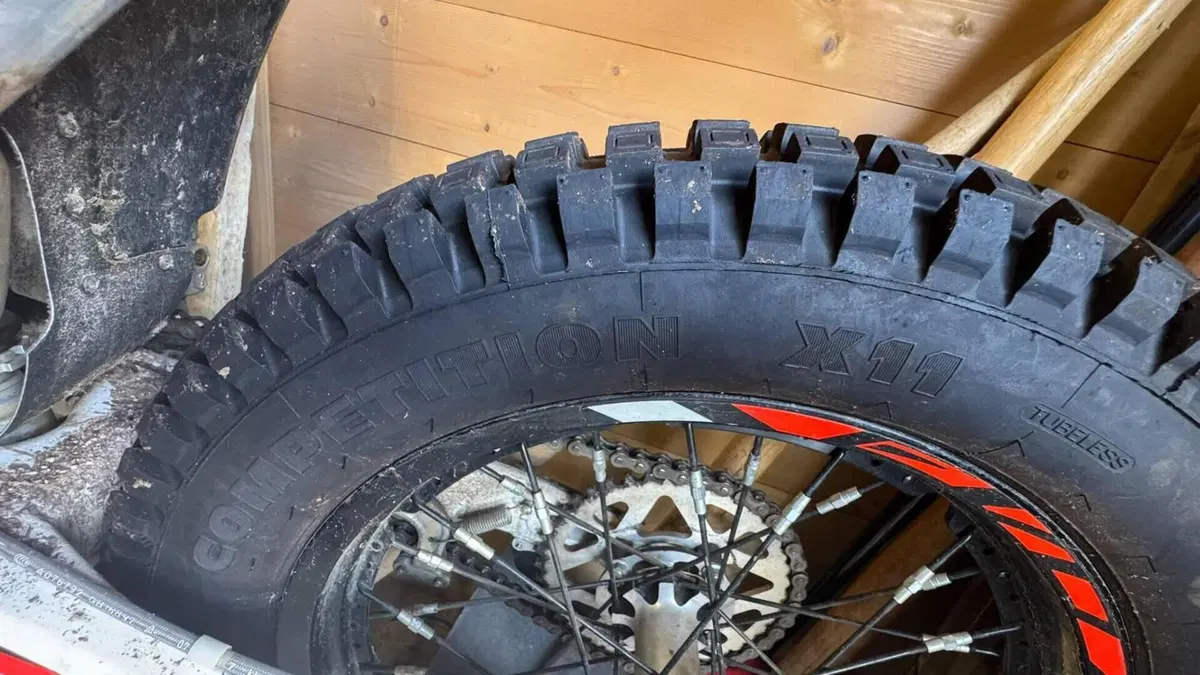 Betamotor Evo 300 2t (2019 - 20)  (4)