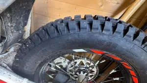 Betamotor Evo 300 2t (2019 - 20)  (4)