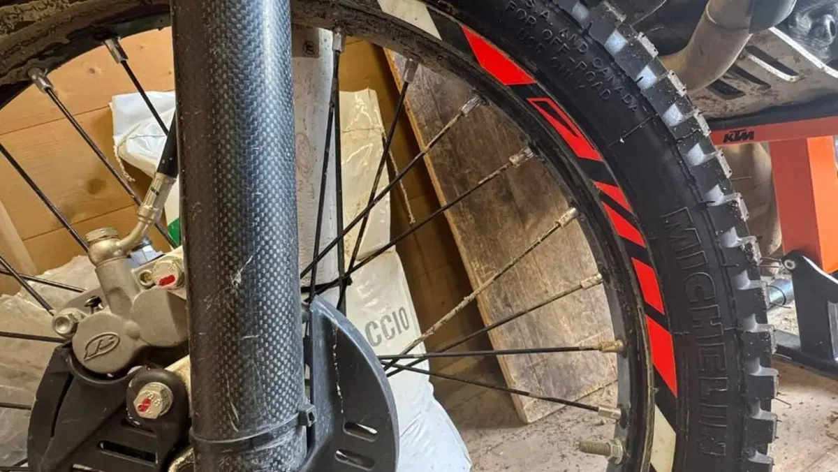 Betamotor Evo 300 2t (2019 - 20)  (5)