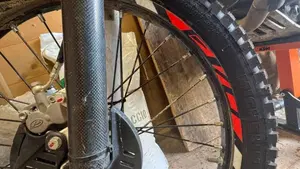 Betamotor Evo 300 2t (2019 - 20)  (5)