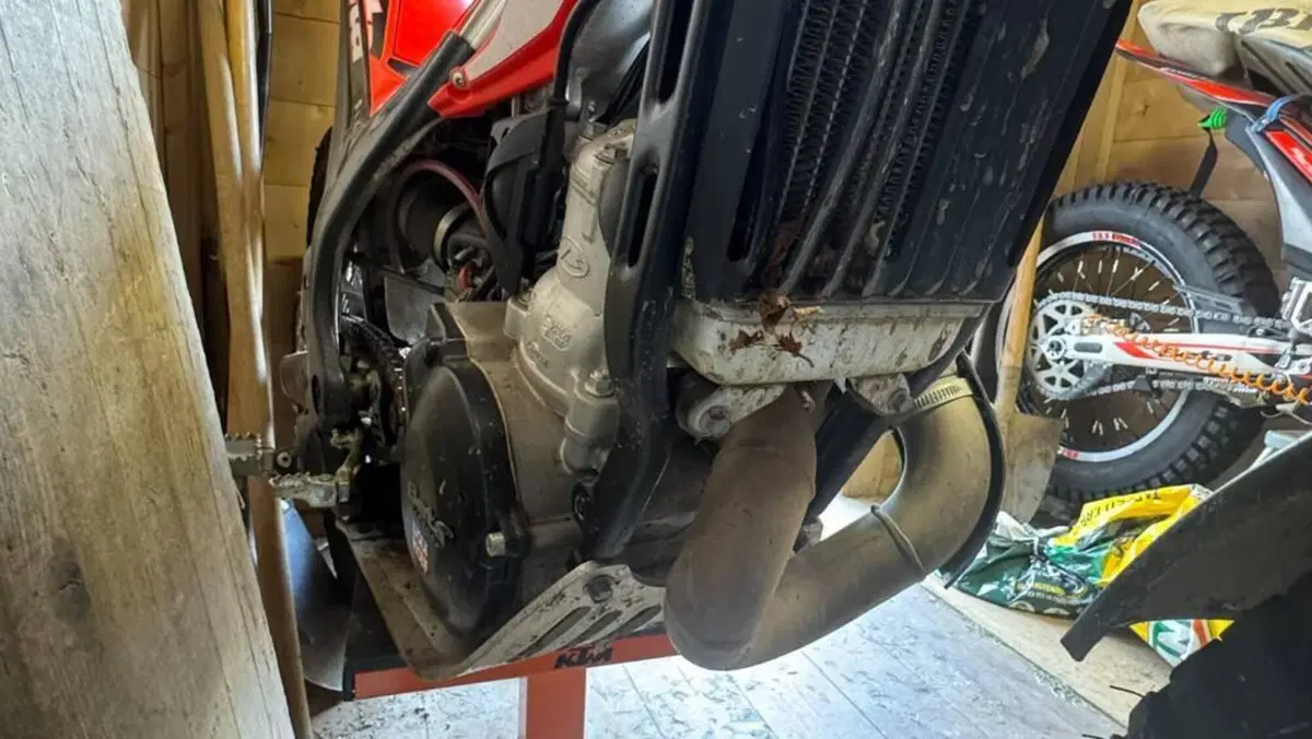 Betamotor Evo 300 2t (2019 - 20)  (6)