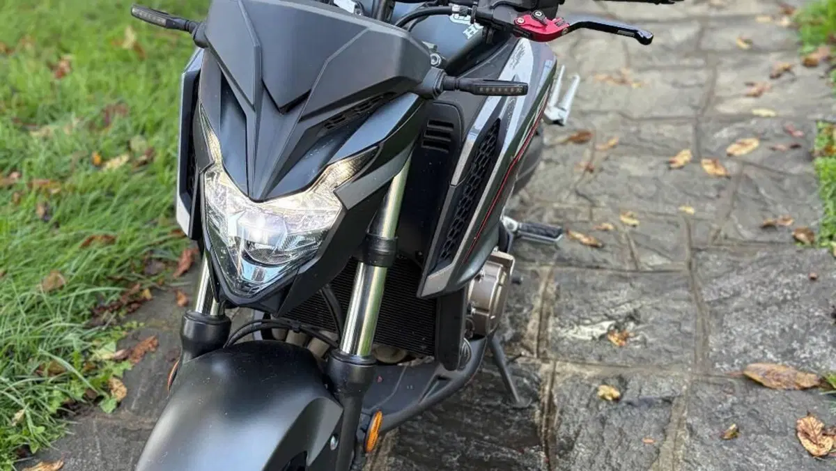 Honda CB 650 F (2017 - 18)  (3)