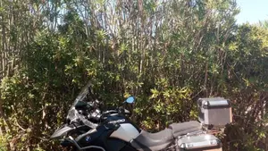 Bmw R 1200 GS Adventure (2010 - 13)  (6)