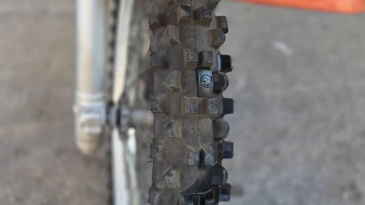 Betamotor  
