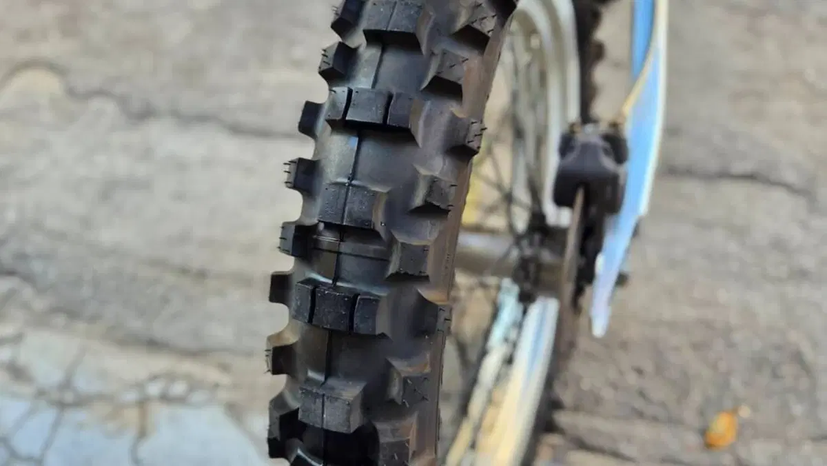 Betamotor   (2)
