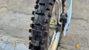 Betamotor   (2)
