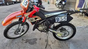 Betamotor   (7)