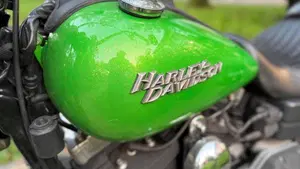 Harley-Davidson 1584 Street Bob (2008 - 15) - FXDB  (3)