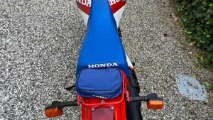 Honda   (9)