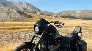 Harley-Davidson 114 Low Rider S (2020) - FXLRS  (2)