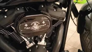 Harley-Davidson 114 Low Rider S (2020) - FXLRS  (3)